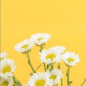 Meet your Posher, Fernanda